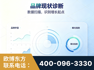 乐山-品牌现状诊断