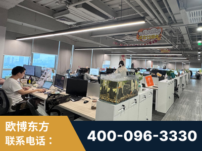 乐山-企业展示图
